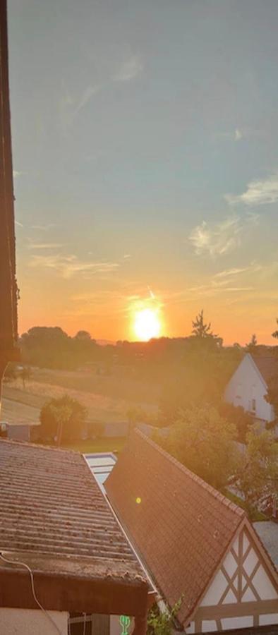 Urlaub Am Rhein Speyer Hockenheim Apartamento Altlussheim Exterior foto
